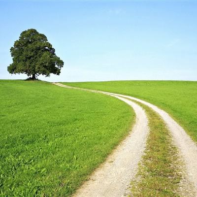 BO半岛综合app安全下载下载手机版